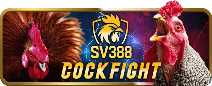 Các điều kiện và điều khoản quan trọng của khuyến mãi W9BET